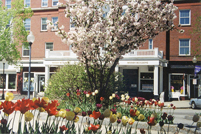 Claremont, NH - Moody Building - Spring